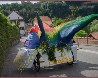 3-13JUIN 0066